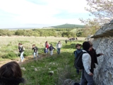 Clicca qui per vedere l'immagine in dettaglio